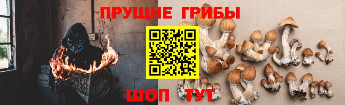 Псилоцибиновые грибы мицелий  Вход с VPN  Вышний Волочёк  Псилоцибиновые грибы Magic Shrooms 